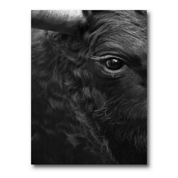 Designart ' Close Up Of Eye Of A Bull ' Farmhouse Canvas Wall Art Print