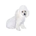 thumbnail image 2 of CafePress - Poodle (W3) Mug - 11 oz Ceramic Mug - Novelty Coffee Tea Cup, 2 of 4