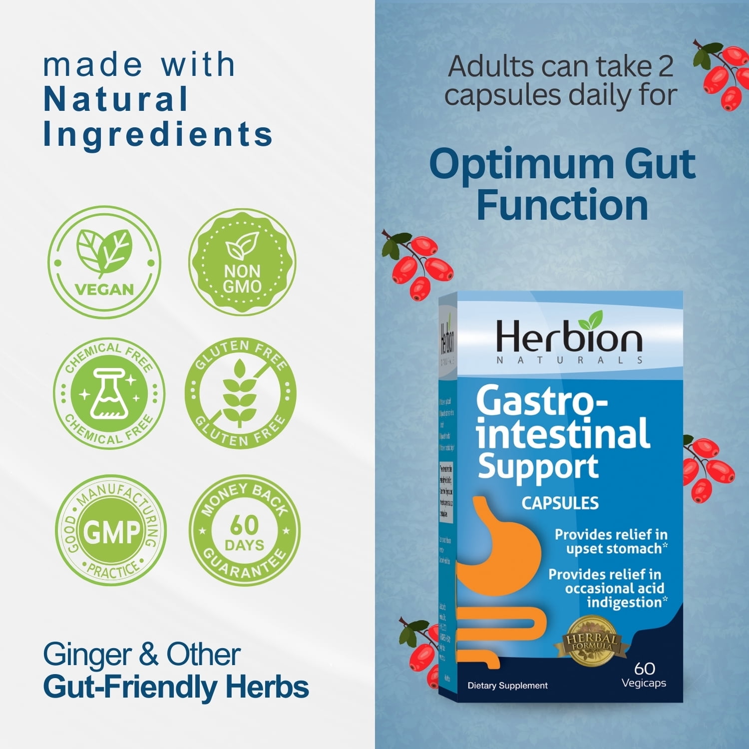 Herbion Naturals Gastro-intestinal Support Herbal Blend for Upset Stomach Relief, Gastrointestinal Health and Function, Occasional Acid Indigestion, Healthy Intestinal Flora, 60 Vegicaps