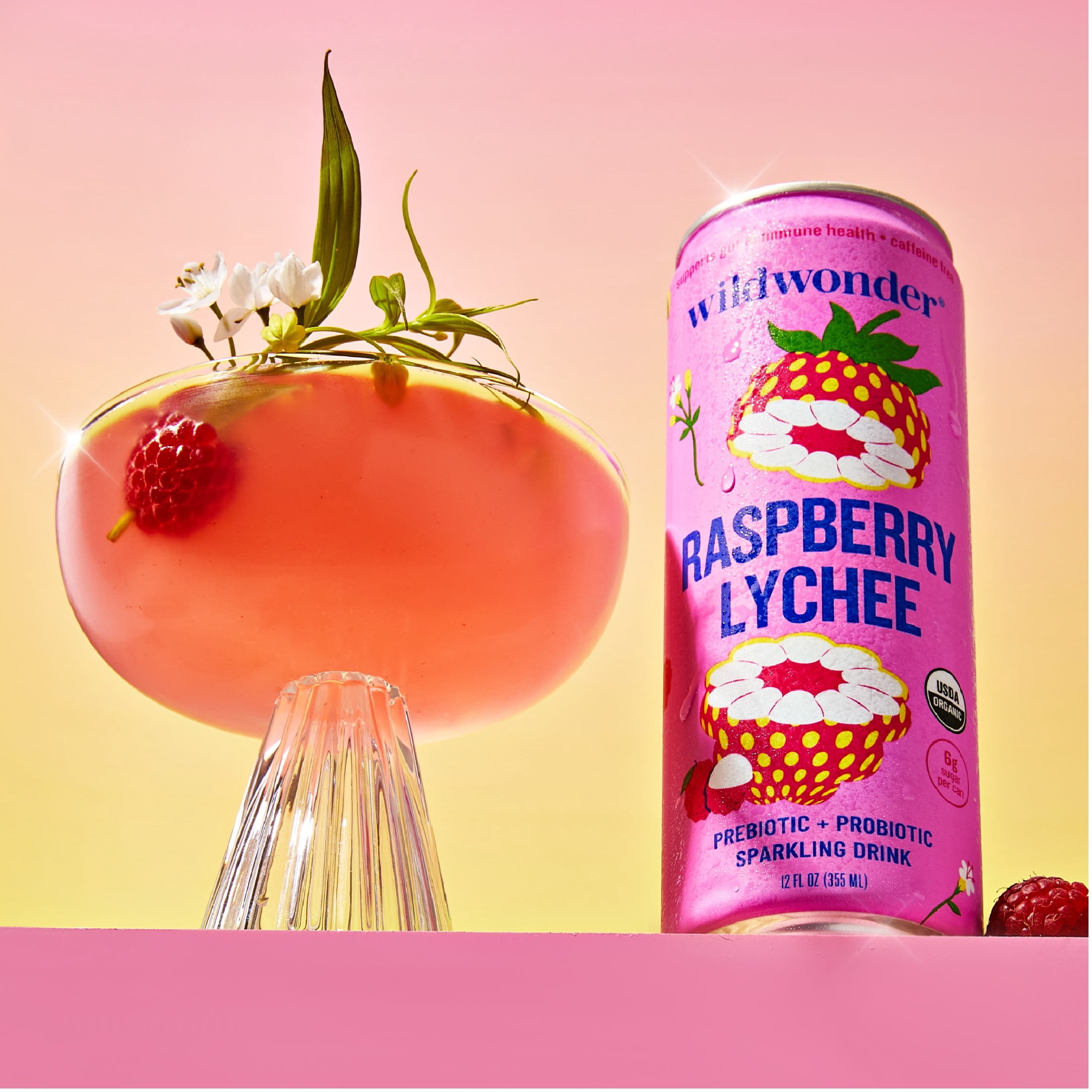 wildwonder® Raspberry Lychee Sparkling Prebiotic + Probiotic Drink, 12 Fluid Ounces