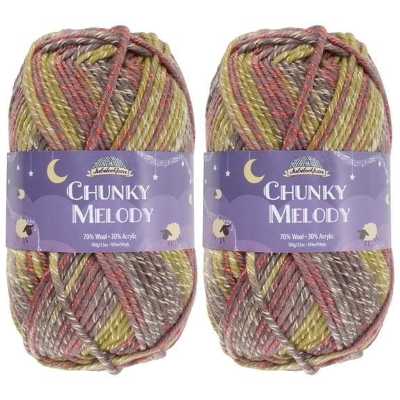 JubileeYarn Chunky Melody Yarn - 100g/Skein Bulky Wool Blend - Splitpea Carrot - 2 Skeins