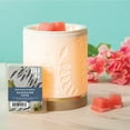 thumbnail image 3 of Rainwater & Moss Scented Wax Melts, Better Homes & Gardens, 2.5 oz (1-Pack), 3 of 10