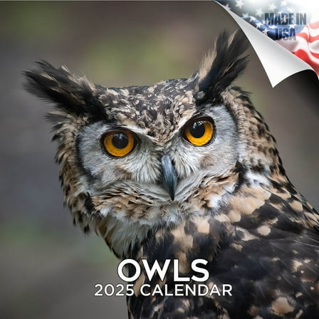 2025 2026 Owls Calendar - Wildlife Monthly Wall Calendar - 12 x 24 Open - Thick No-Bleed Paper - Giftable - Academic Teacher's Planner Calendar Organizing & Planning - Made in USA