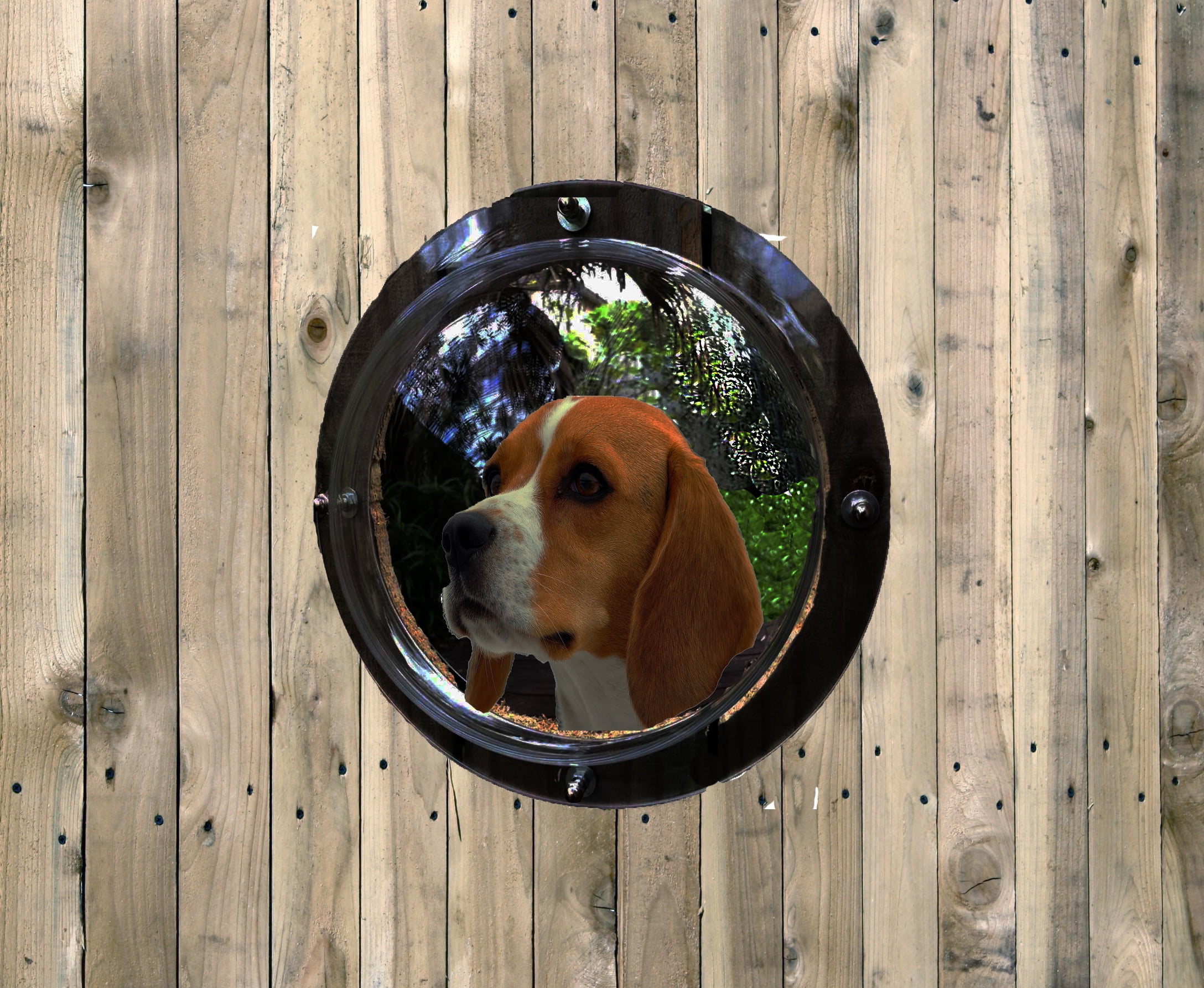 Pet Fence Dome Peek Bubble Window For Dogs - For Dogs See Outside 