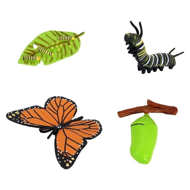 Modelo De Insecto Simulado Modelo De Insecto Realista Insecto De Plástico Y Decoración De Insectos Juguetes Para Niños Serendint FN007276-05