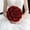 Red, variant on 12pcs Glitter Black Artificial Roses - Elegant Floral Decor for Valentine's Day, Halloween, Weddings, and More