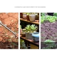 thumbnail image 2 of Hand Weed Puller V Shape Weeder Weeding Tools Hand Weed Puller V Shape Weeder Weeding Tools With Handle For Garden Weed Removal Tool Gardening Accessories, 2 of 8