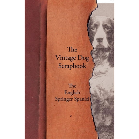 The Vintage Dog Scrapbook - The English Springer Spaniel, (Paperback)