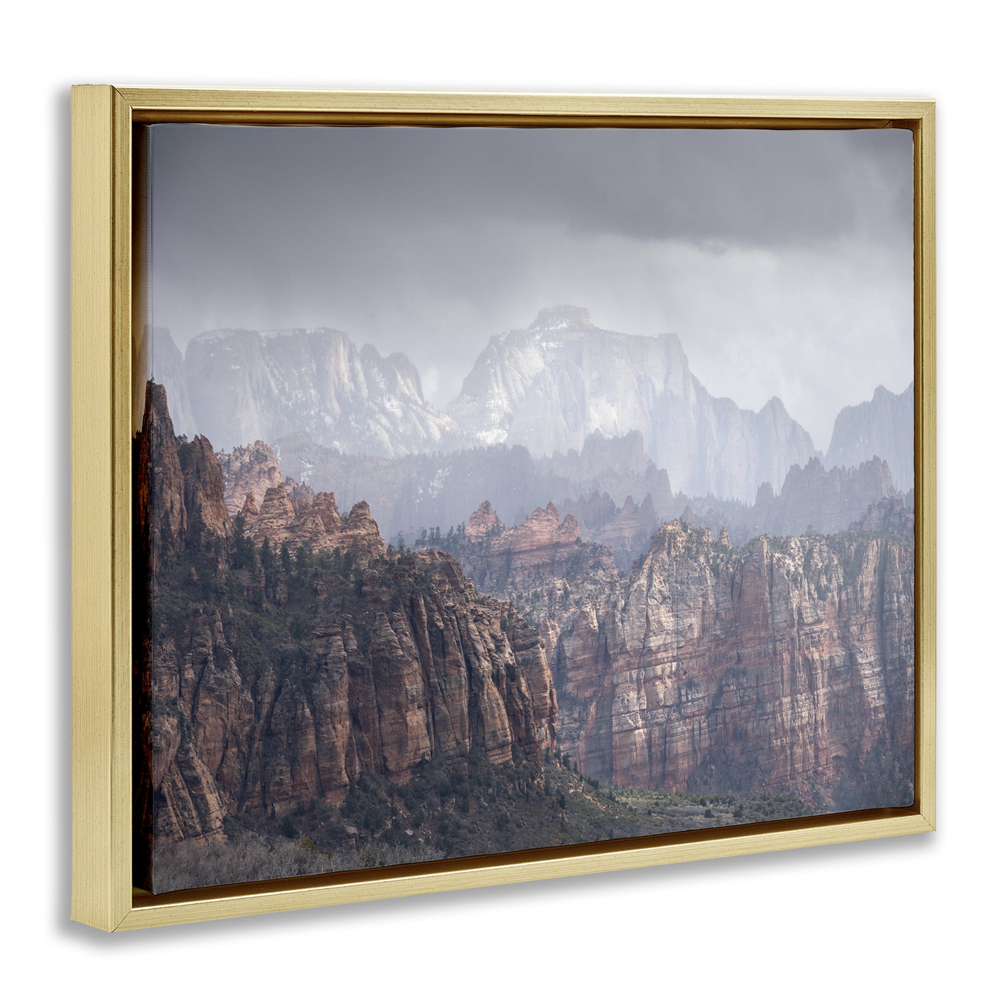Stupell Industries Zion National Park Landscape Photography Gold Floater Framed Art Print Wall Art, 31 x 25