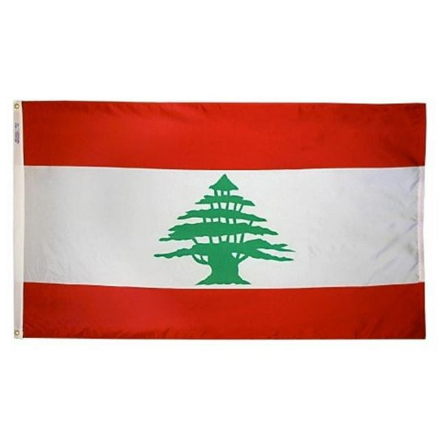 Annin Flagmakers 194659 Drapeau du Liban Nyl-Glo 2 Pi X 3 Pi