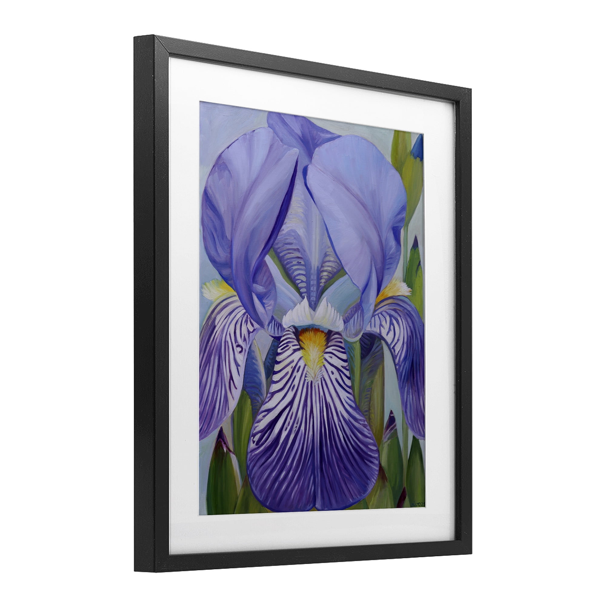 Stupell Industries Blooming Purple Iris Petals Black Framed Print Under Glass, design by Violeta Vollmer