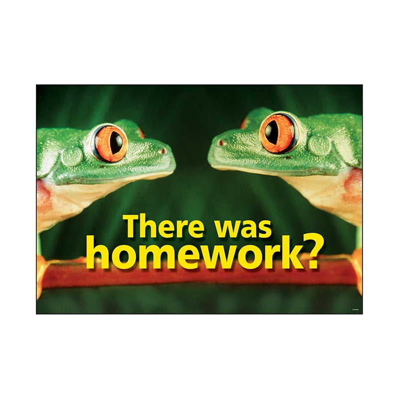 is there any homework is there any homework