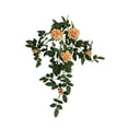 thumbnail image 2 of Enredadera Floral Macarena Rosa Chinensis 66 cm Naranja, 2 of 8