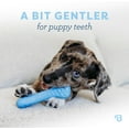 thumbnail image 2 of Benebone Puppy 2-Pack Rubber Bone/Wishbone Bacon Tiny, 2 of 6