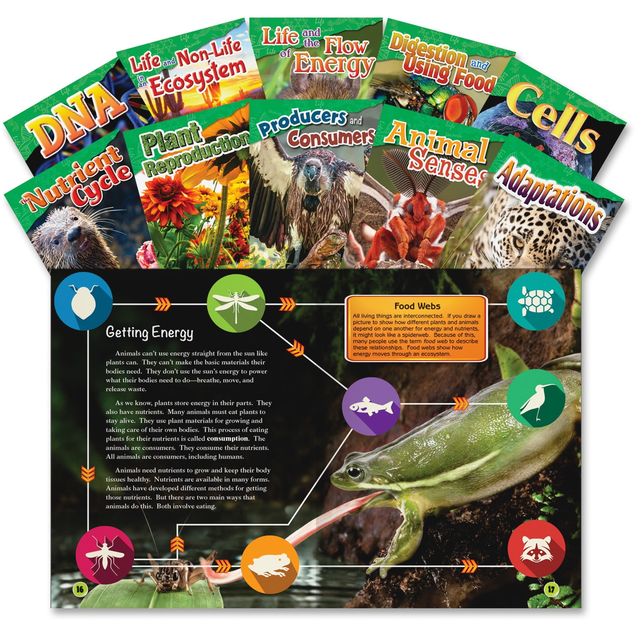 Science Readers Let's Explore Life Science Grades 45, 10Book Set