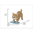 thumbnail image 3 of Kitten Mopping The Floor - Ultra Realistic Garden Statue, 3 of 4