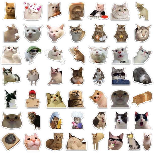 50 Pegatinas Con Expresiones Populares De Gatos Para Maletas, Bolígrafos, Guitarras Y Cuadernos