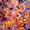 Abstract Floral, variant on Autumn Cityscape Oil Canvas Print, for Living Room, Office, Hotel, Hallway Decor