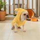thumbnail image 4 of SHOWERORO Ropa De Para Perros Pequeños Con Capucha Estilo Moderno Y De Para Máxima Calidez, 4 of 7