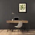 thumbnail image 4 of Torrey, John 20x24 Black Modern Framed Museum Art Print Titled - Ink-berry Tree Foliage, 4 of 5