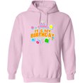 thumbnail image 2 of Inktastic It's My Birthday Adult Hoodie Sweatshirt, 2 of 4