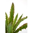 thumbnail image 2 of Vintage Home Artificial Faux Real Touch 3.21 Feet Tall Real Touch Agava With Fiberstone Planter, 2 of 3