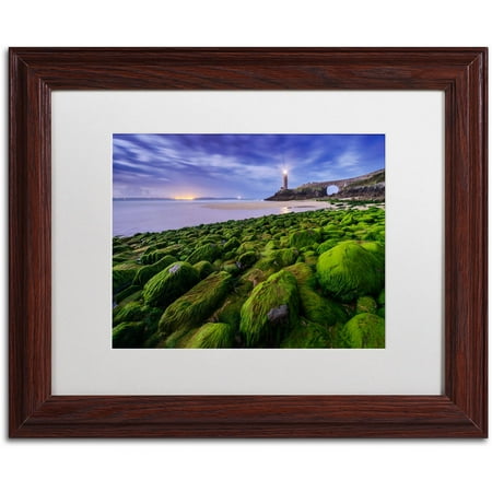 trademark fine art full moon in brittany canvas art by mathieu