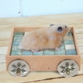 thumbnail image 3 of Miangastore Hamster Cooling Board Wooden Material 1Set 3.9X3.9X1In, 3 of 8