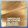 thumbnail image 3 of Clairol Nice'n Easy Permanent Hair Dye, 3 of 9