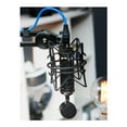 Blue Spark Blackout SL XLR Condenser Mic for Pro Recording and ...