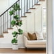 thumbnail image 1 of Garvee 183 cm artificial ficus lyrata con blanca pot - great plastic plants para indoor y outdoor, dormitorio decor, 1 of 6