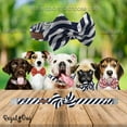 thumbnail image 4 of Regal Dog Products Cool Designer Bowtie Collars | Custom Fit Collar for Small, Medium & Large, 4 of 7