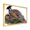 thumbnail image 2 of Designart 'Close Up Of Vintage Countryside Birds' Farmhouse Framed Art Print, 2 of 4