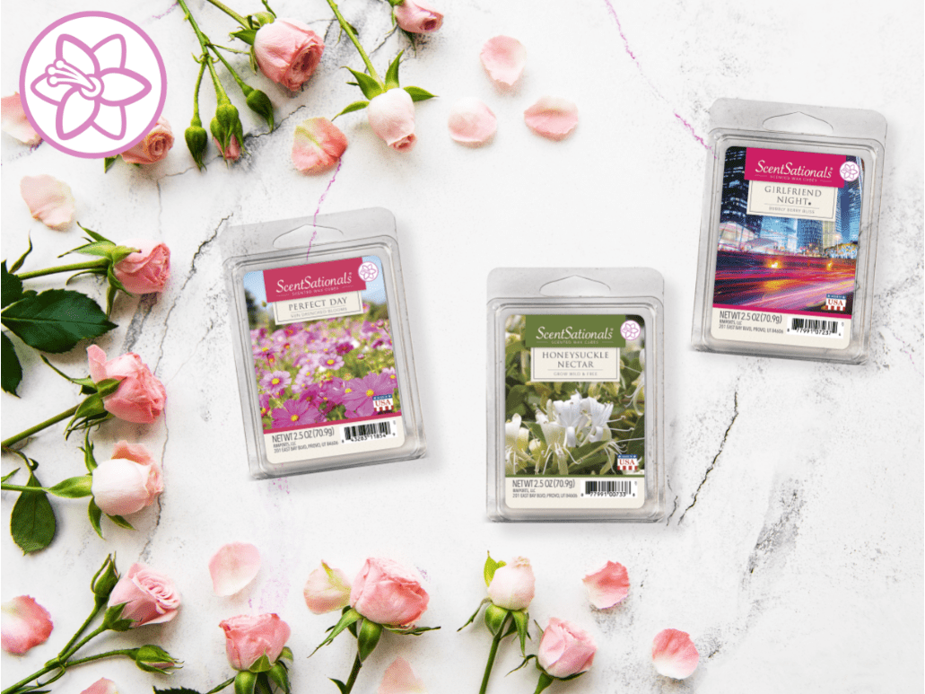 ScentSationals 2.5 oz Perfect Day Scented Wax Melts, 4-Pack