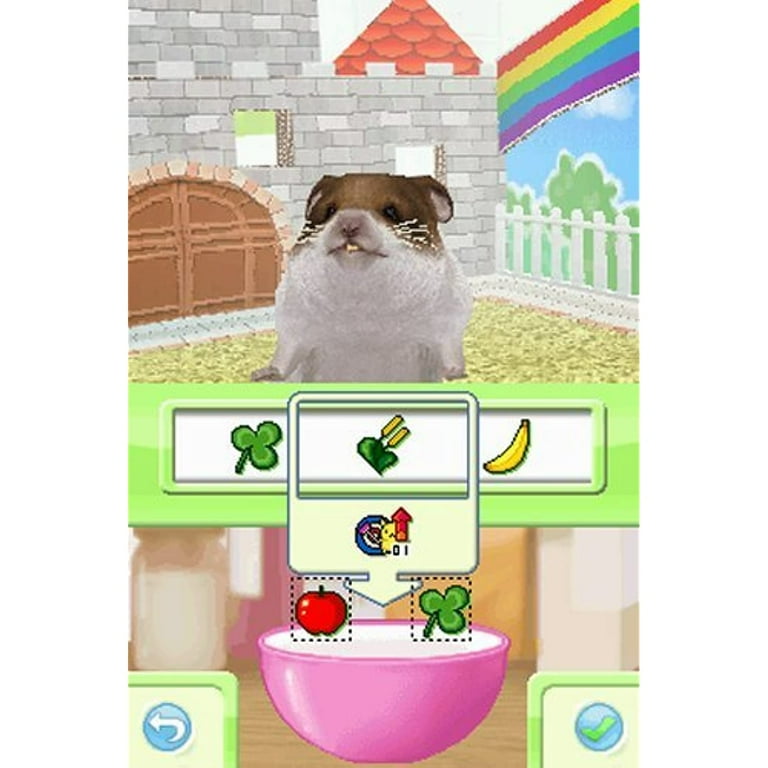 Hamsterz ds deals