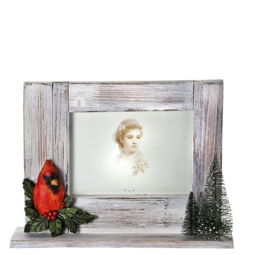 Cardinal Picture Frame