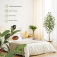 thumbnail image 3 of Olivo Artificial de 6 Pies – Planta de Seda Falsa – Tronco Realista – Hojas y Frutas – Maceta Blanca – Decoración para el Hogar y Regalo, 3 of 7