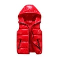 thumbnail image 2 of BAETEUY Men Cotton Vest Autumn Winter Hooded Sleeveless Zipper Placket, 2 of 8