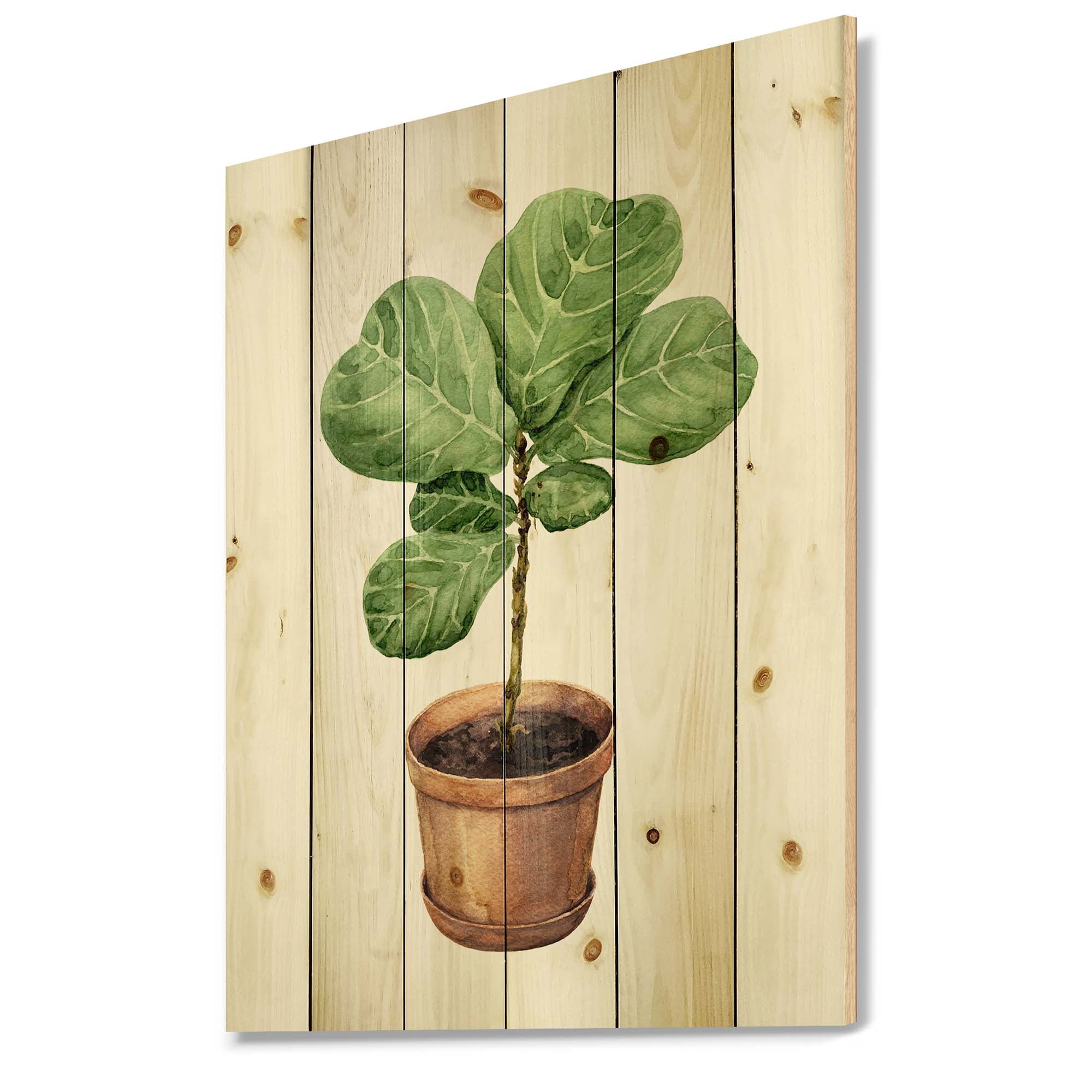 Designart 'Ficus Lyre Plant In Clay Flowerpot' Traditional Print on Natural Pine Wood