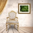 thumbnail image 3 of Bonin, Suzanne 24x19 Gold Ornate Wood Framed with Double Matting Museum Art Print Titled - Blue Damselfly, 3 of 4