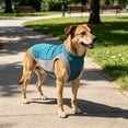 thumbnail image 6 of Dog Cooling Vest for Dogs, Lightweight Dog Cooling Harness Shirt , Breathable Mesh Cooler Jacket Pet Cool Vest for Small Medium Large Dogs Summer Hot Weather, Pink Or Blue Multi-Size, 6 of 8