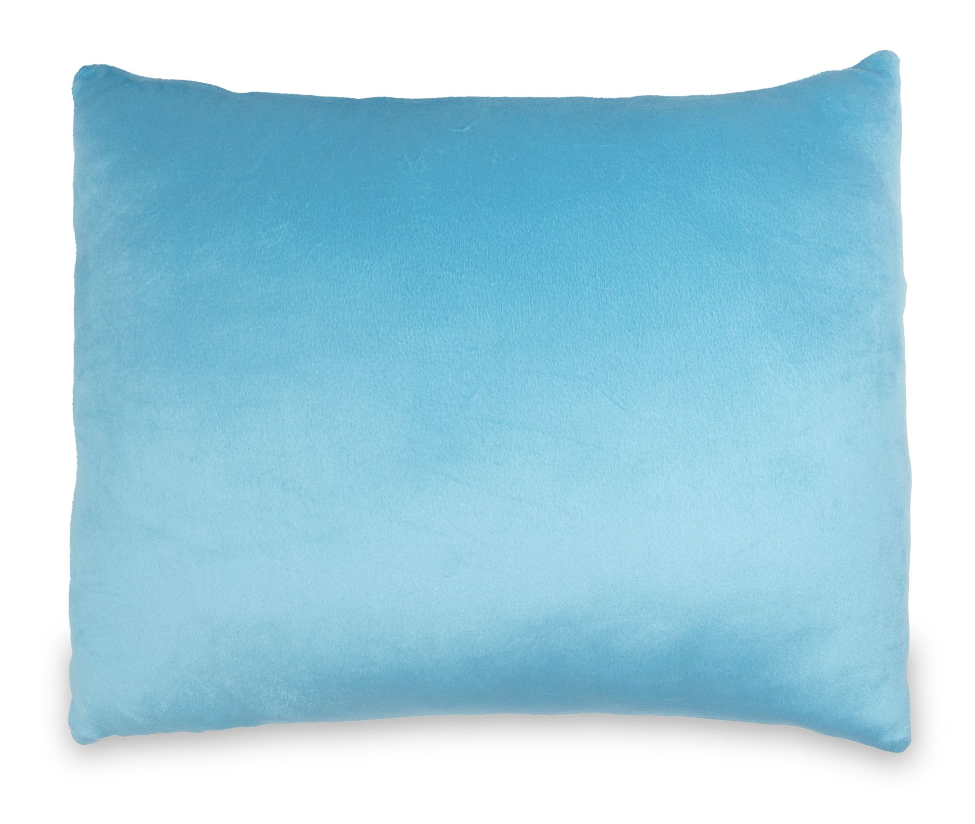 Paw Patrol Ultra-Soft Minky Plush Toddler Bed Pillow