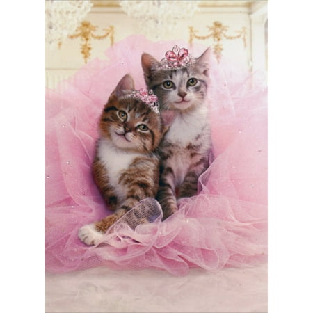 Avanti Press Kittens Sharing Tutu Cat Birthday Card Walmart Com