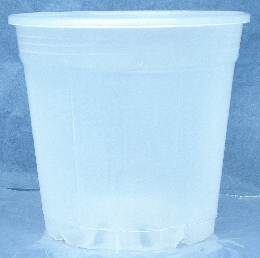 6.0 Inch Round Clear Plastic Pot for Orchids Quantity of 5 Walmart