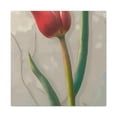 thumbnail image 1 of Tulips in Bloom - Canvas, 1 of 10