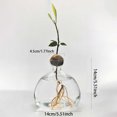 thumbnail image 3 of Hydroponic Growth Jar for Sprouting & Cultivation Unique Container for Nurturing Saplings From Kernels Ideal for Indoor Horticulture, 3 of 7