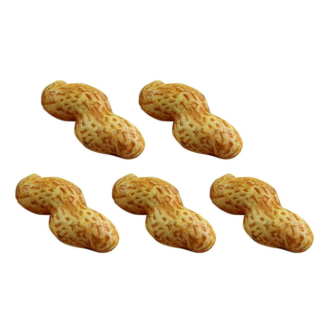 Miangastore 5 Pcs Modèles D\'arachide Simulation Faux Fruits Secs Accessoires Photo pour Magasin