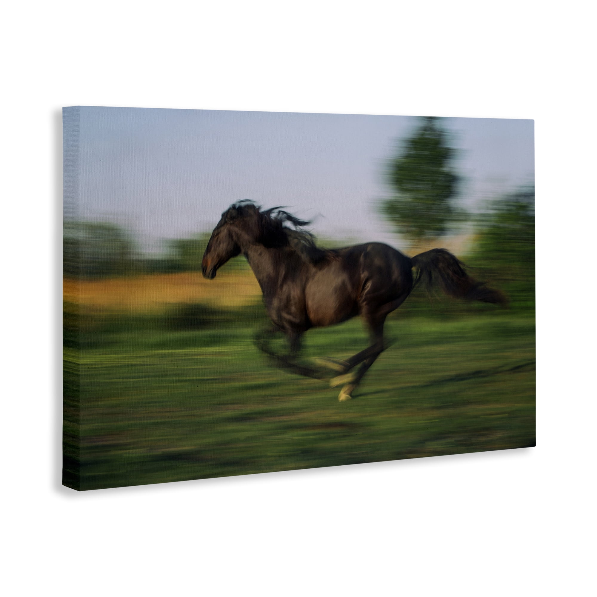 Stupell Industries Dashing Camargue Racehorse Canvas Wall Art, design by Scott Stulberg
