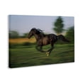thumbnail image 2 of Stupell Industries Rustic Lodge Dashing Camargue Racehorse Canvas Art, 24 x 16, by Scott Stulberg, 2 of 8