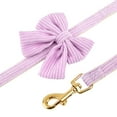 thumbnail image 6 of Beirui 3pcs Soft Mesh Dog Harness Cute Bowtie Collar and Leash for Small Pet Adjustable, 6 of 12